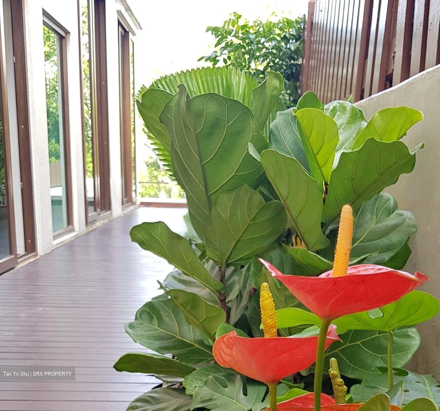 Braddell Heights Estate (D13), Detached #467805911